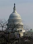 The Capitol in the cold.