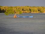 A canoe in the warm light of dusk.