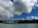 Derelict boats.