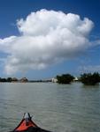 The view from my kayak.