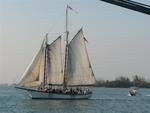 Key West tallship.