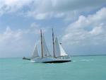 Tallships sail by for a closer look at what's going on aboard the Jolly II Rover.