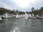 After the races, a logjam at the boat-ramp, getting all the competitors' dingys out of the water.